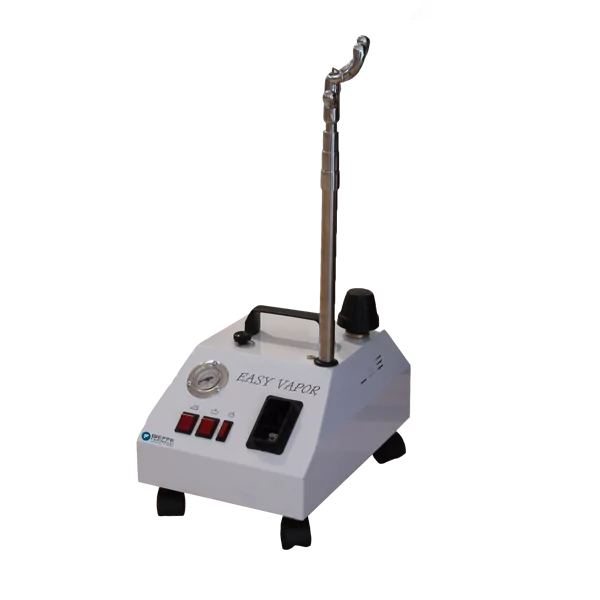 Bieffe Easy Vapor BF0016 | Generatore Vapore Multifunzione con Spazzola